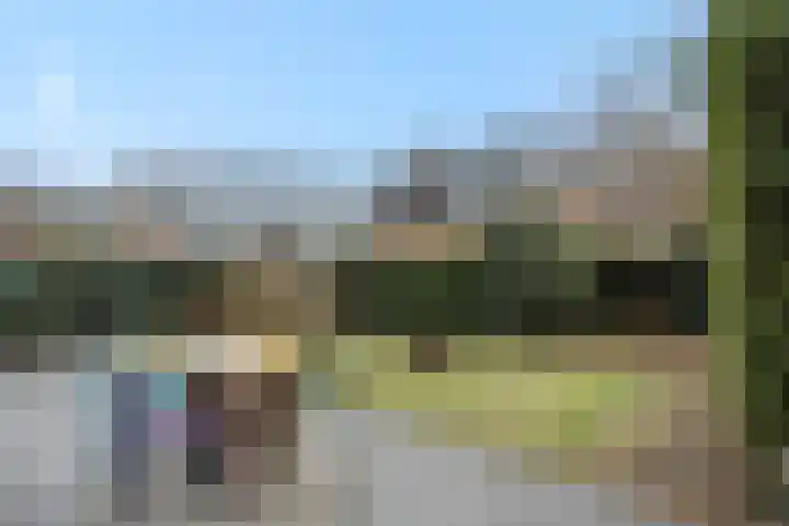 Jeneverbes 8 Oss thumbnail 19