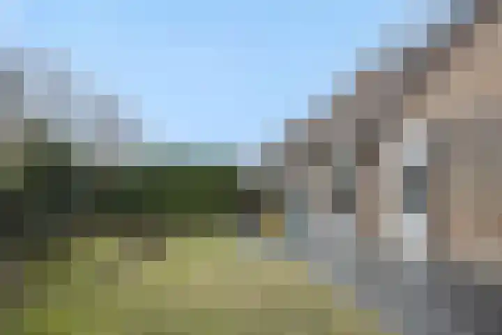 Jeneverbes 8 Oss thumbnail 21