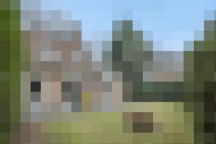 Jeneverbes 8 Oss thumbnail 22