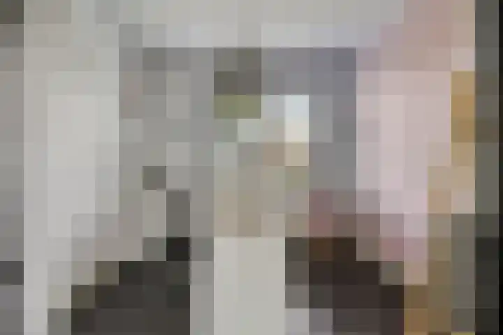 Jeneverbes 8 Oss thumbnail 24