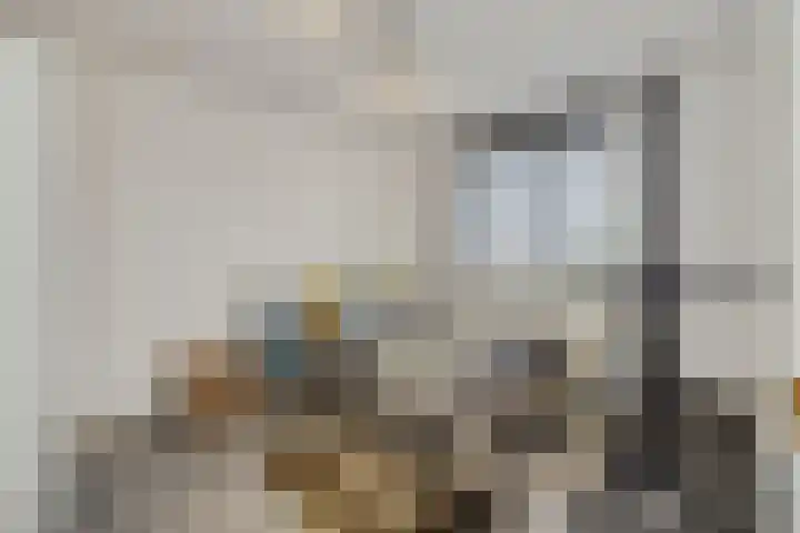 Jeneverbes 8 Oss thumbnail 24
