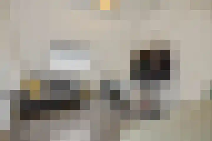 Jeneverbes 8 Oss thumbnail 30