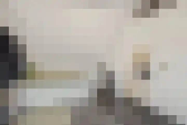 Jeneverbes 8 Oss thumbnail 31