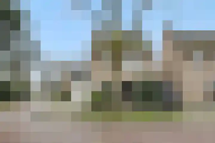 Jeneverbes 8 Oss thumbnail 32