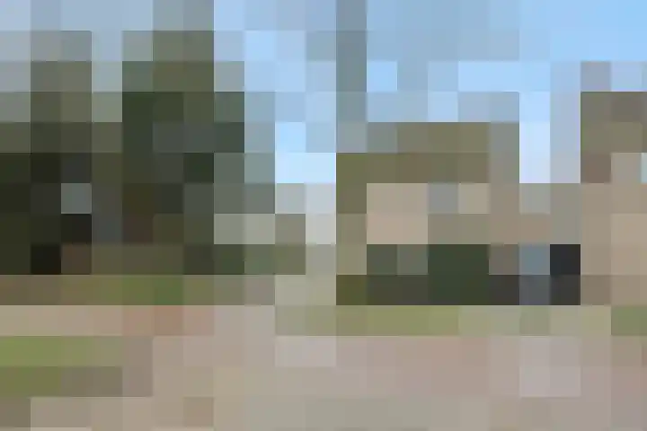 Jeneverbes 8 Oss thumbnail 33