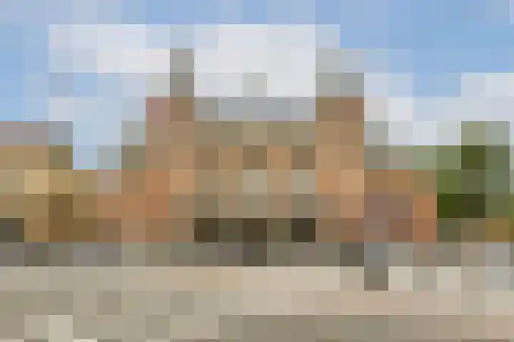 Jeneverbes 8 Oss thumbnail 36