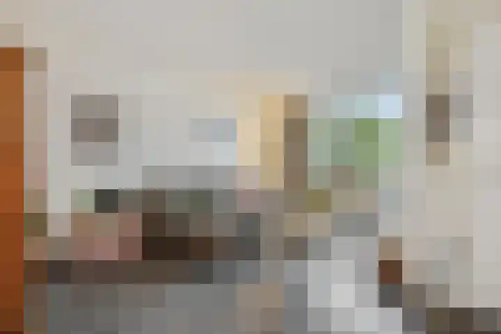 Jeneverbes 8 Oss thumbnail 4