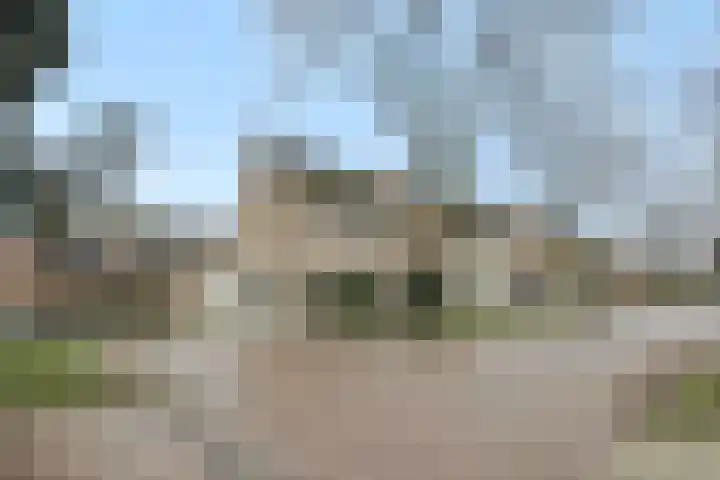 Jeneverbes 8 Oss thumbnail 5