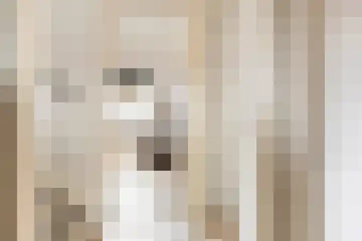 Jensemaheerd 122 Groningen thumbnail 18