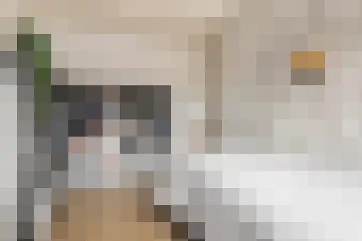 Jensemaheerd 122 Groningen thumbnail 20