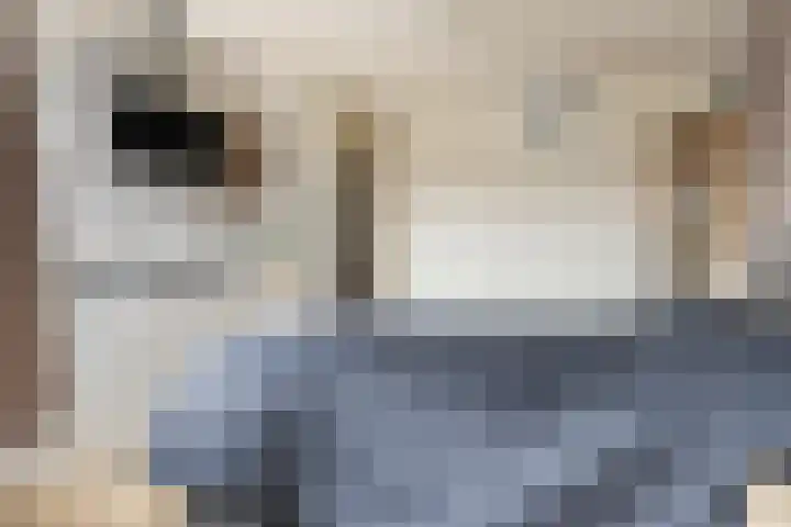 Jensemaheerd 122 Groningen thumbnail 22
