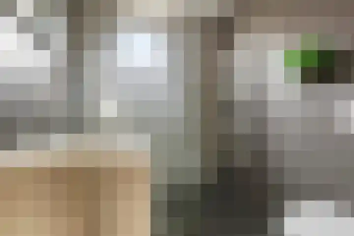 Jensemaheerd 122 Groningen thumbnail 24