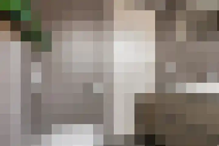 Jensemaheerd 122 Groningen thumbnail 25