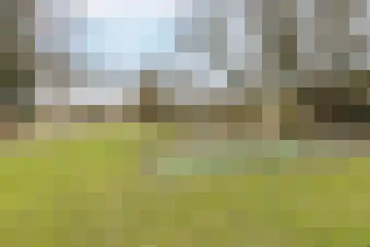 Jensemaheerd 122 Groningen thumbnail 35