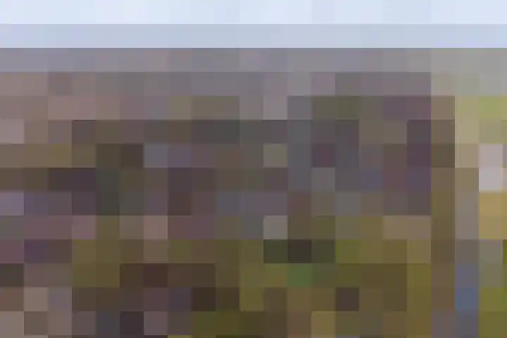 Jensemaheerd 122 Groningen thumbnail 36