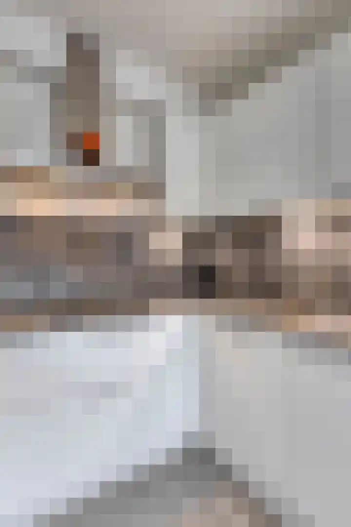 Jericholaan 29 Eindhoven thumbnail 17
