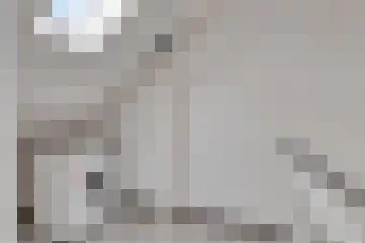 Jericholaan 29 Eindhoven thumbnail 27