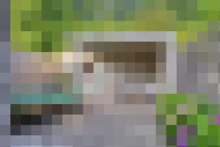 Jericholaan 29 Eindhoven thumbnail 33