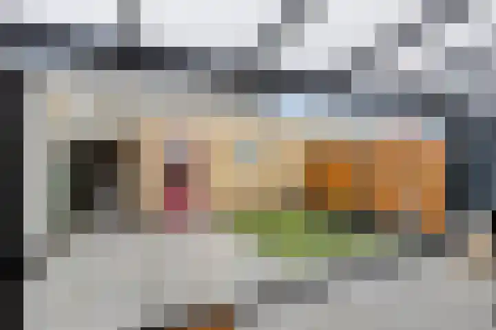 Jericholaan 29 Eindhoven thumbnail 33