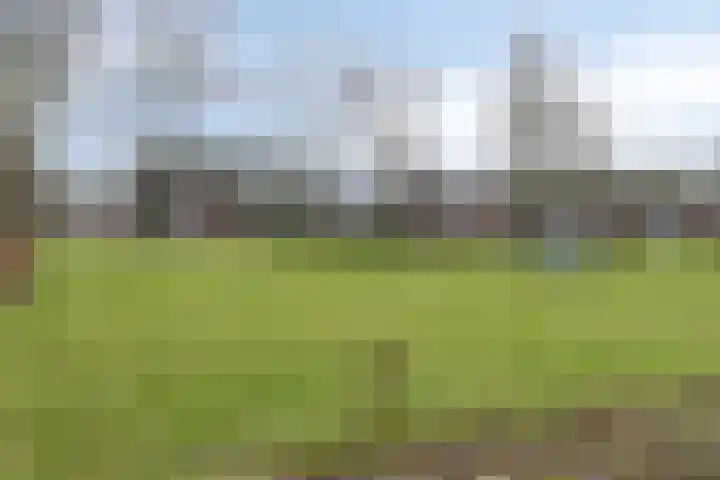 Jericholaan 29 Eindhoven thumbnail 36