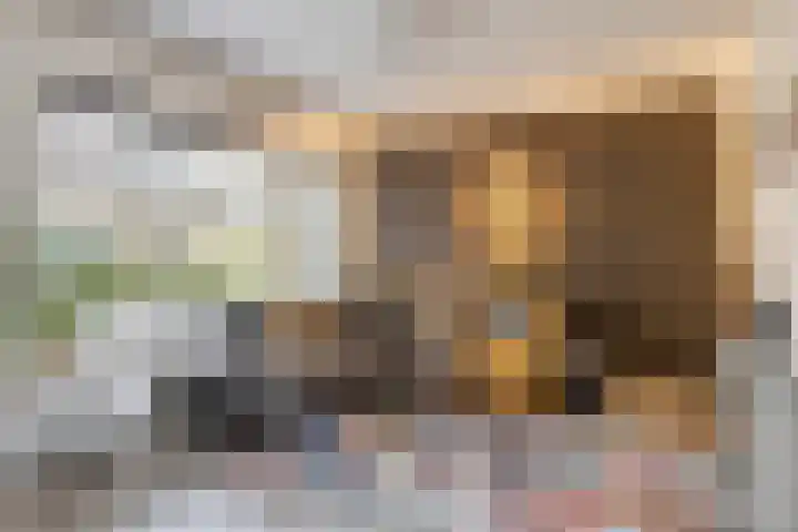 Jericholaan 29 Eindhoven thumbnail 9