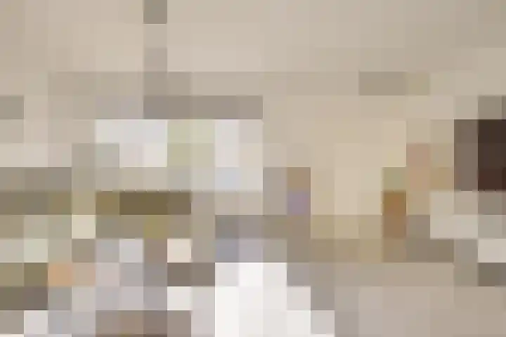 Jericholaan 31 Eindhoven thumbnail 12
