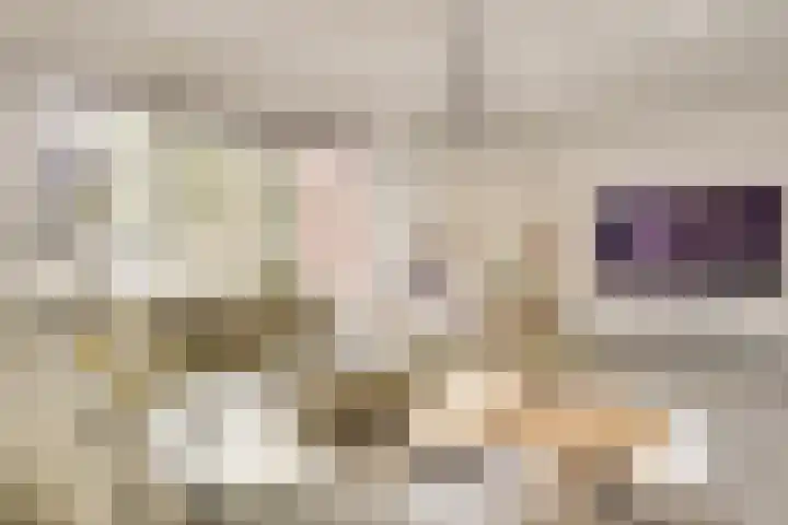 Jericholaan 31 Eindhoven thumbnail 15
