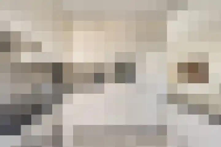 Jericholaan 31 Eindhoven thumbnail 20