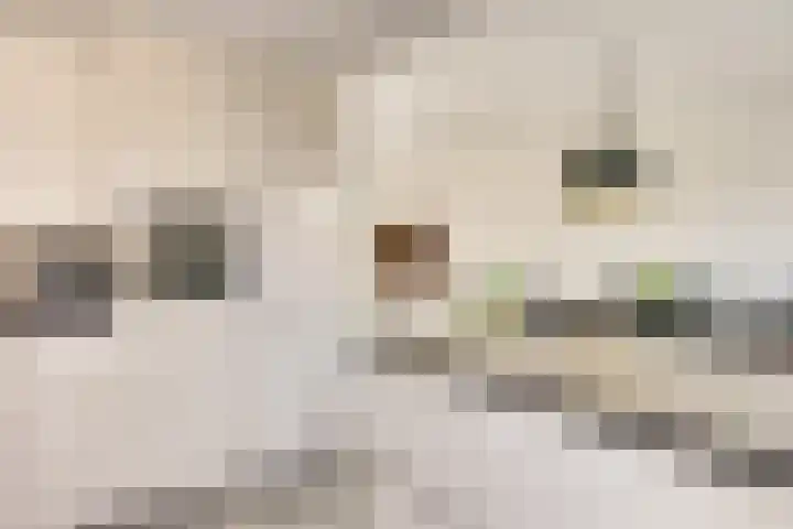 Jericholaan 31 Eindhoven thumbnail 21