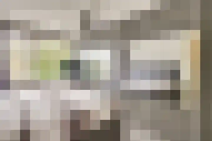 Jericholaan 31 Eindhoven thumbnail 27