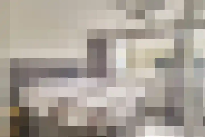 Jericholaan 31 Eindhoven thumbnail 28