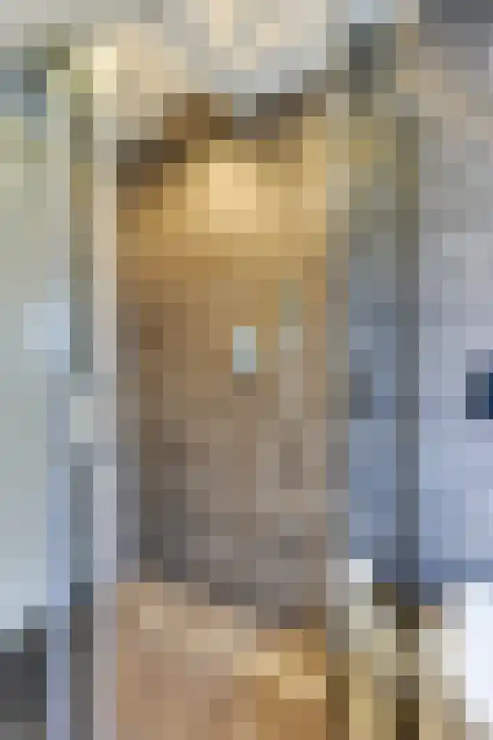 Jericholaan 31 Eindhoven thumbnail 31