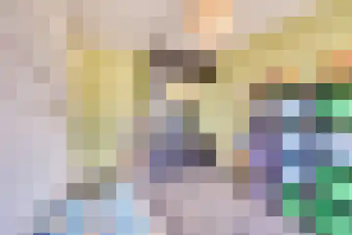 Jericholaan 31 Eindhoven thumbnail 35