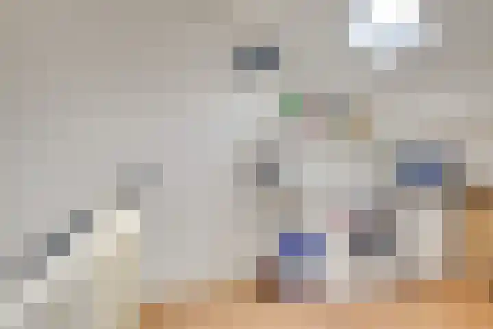 Jericholaan 31 Eindhoven thumbnail 38