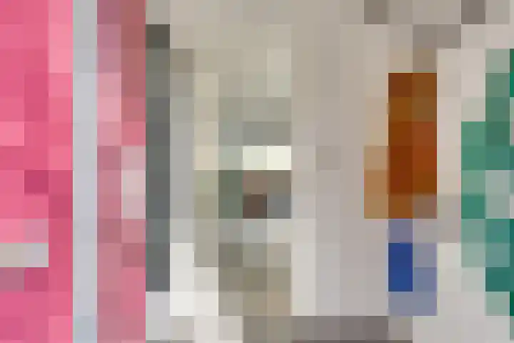 Jericholaan 31 Eindhoven thumbnail 7