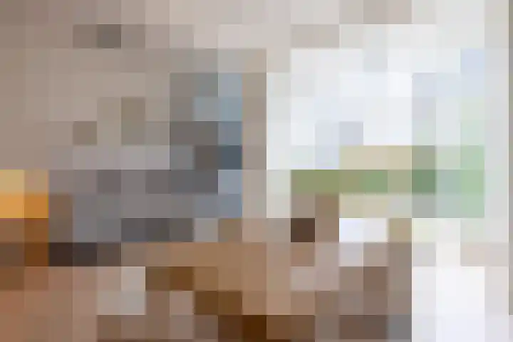 Jericholaan 94 B Rotterdam
