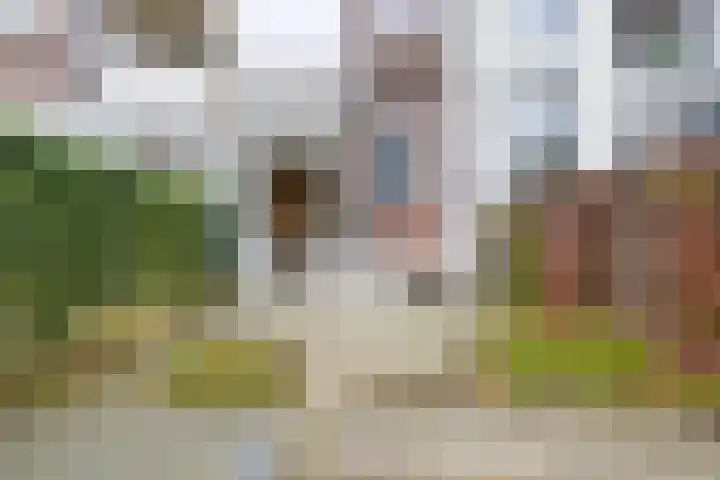 Jericholaan 94 B Rotterdam thumbnail 5