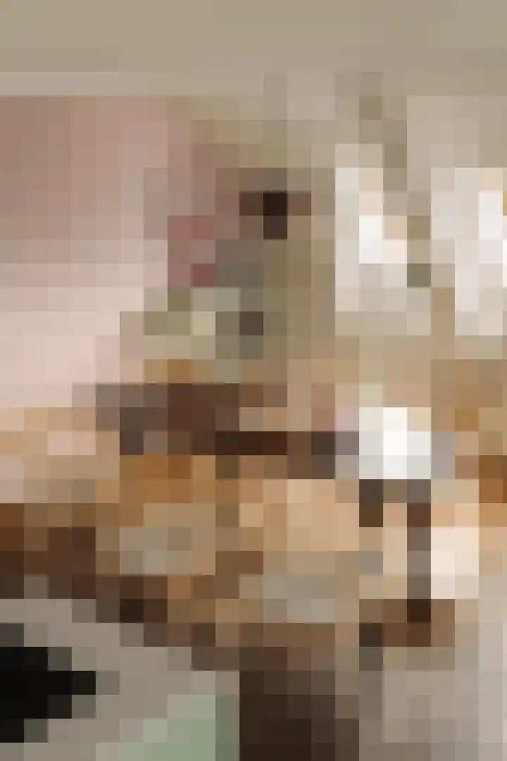 Jericholaan 94 B Rotterdam thumbnail 6