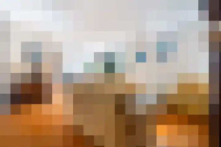 Jerseykade 24 Woerden thumbnail 10