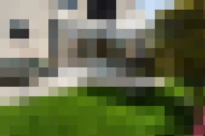 Jerseykade 24 Woerden thumbnail 16