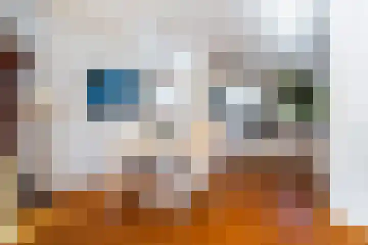 Jerseykade 24 Woerden thumbnail 21