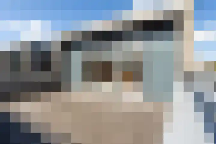 Jerseykade 24 Woerden thumbnail 44