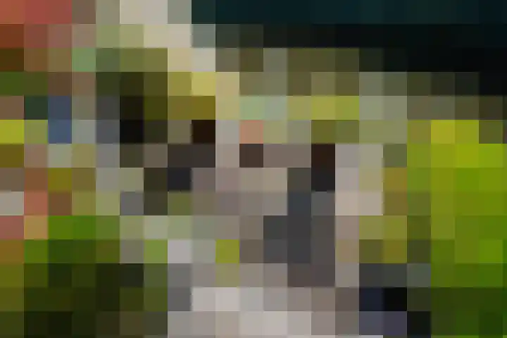 Jerseykade 24 Woerden thumbnail 51