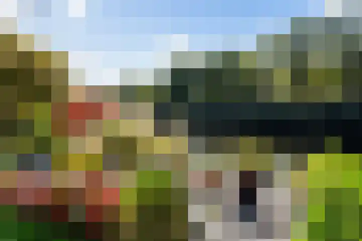 Jerseykade 24 Woerden thumbnail 52