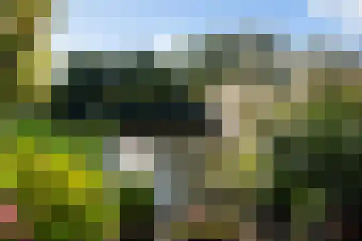 Jerseykade 24 Woerden thumbnail 53