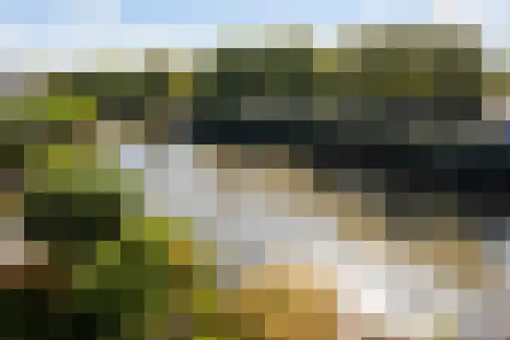 Jerseykade 24 Woerden thumbnail 55