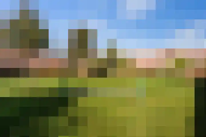 Jerseykade 24 Woerden thumbnail 58