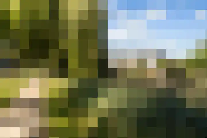 Jerseykade 24 Woerden thumbnail 60