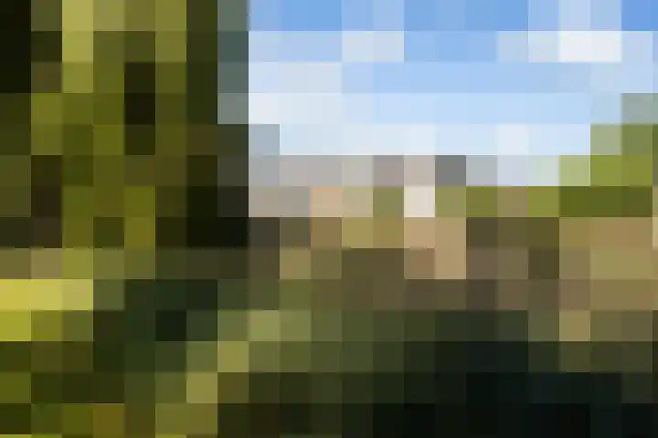 Jerseykade 24 Woerden thumbnail 61