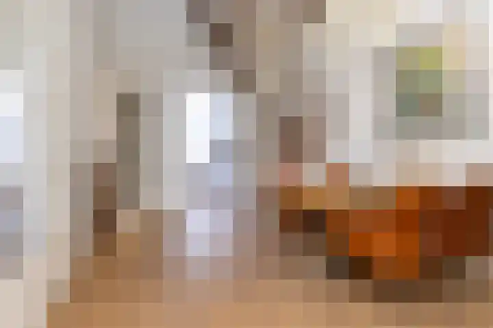 Jeudje 8 Hoorn thumbnail 23